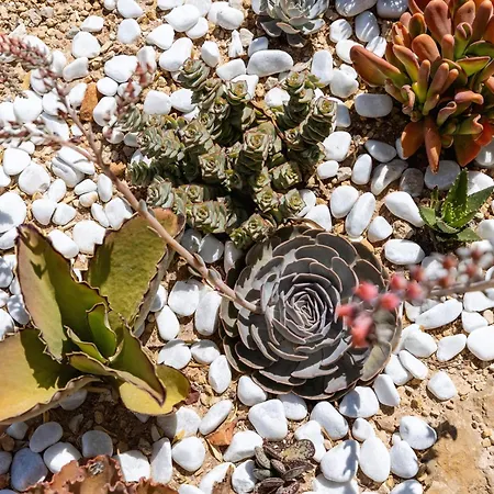Casa Caramelo Villa Jávea